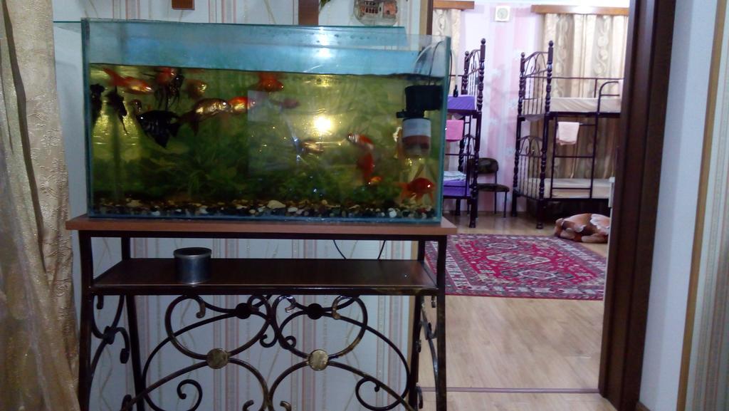 California Guest House Gori Phòng bức ảnh