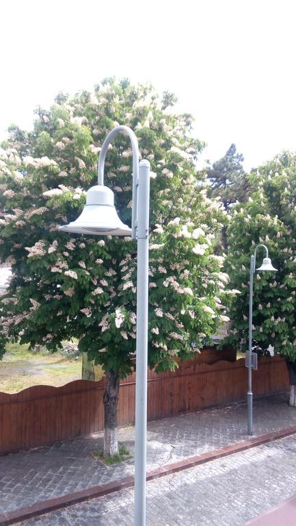 California Guest House Gori Ngoại thất bức ảnh
